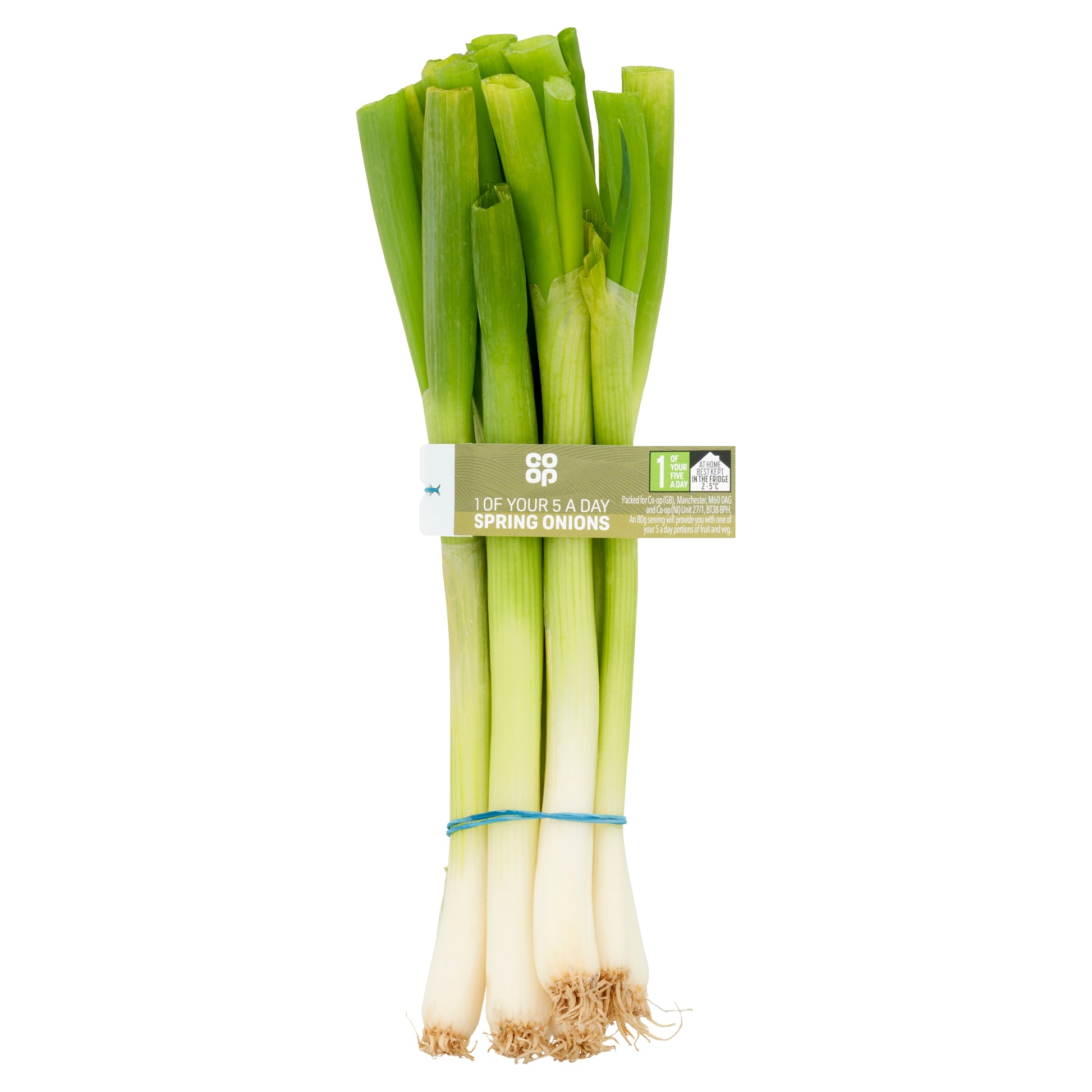 CO OP BUNCHED SALAD ONIONS
