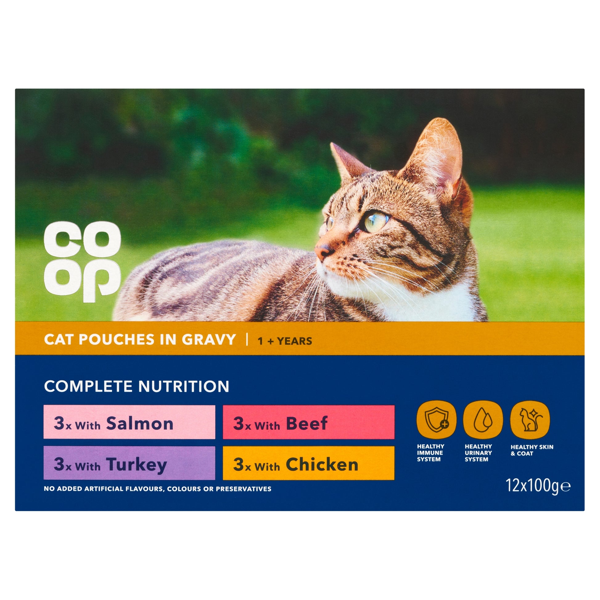 CO OP CAT TASTY CHUNKS IN GRAVY CHICKEN BEEF SALMON TURKEY POUCH