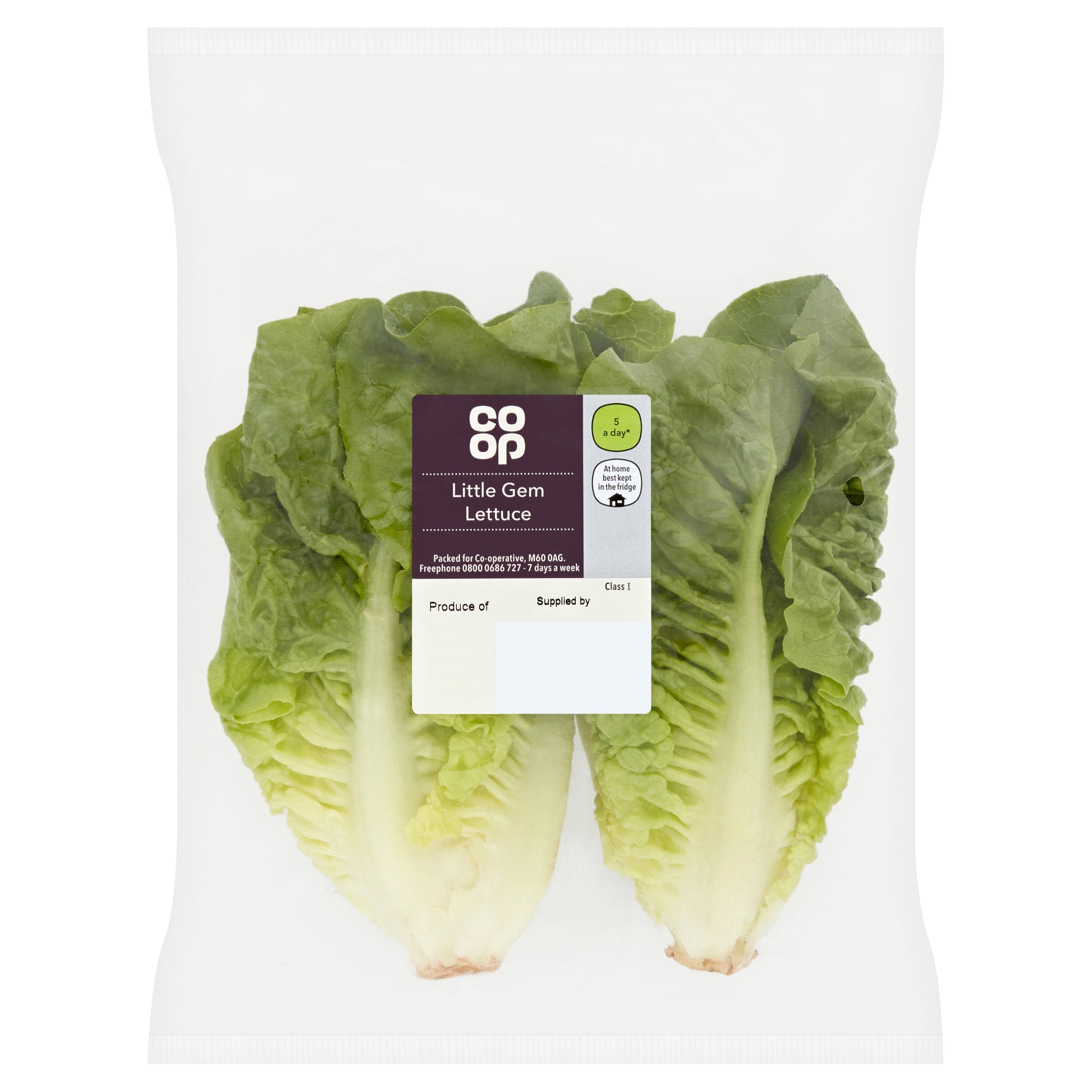 CO OP LITTLE GEM LETTUCE