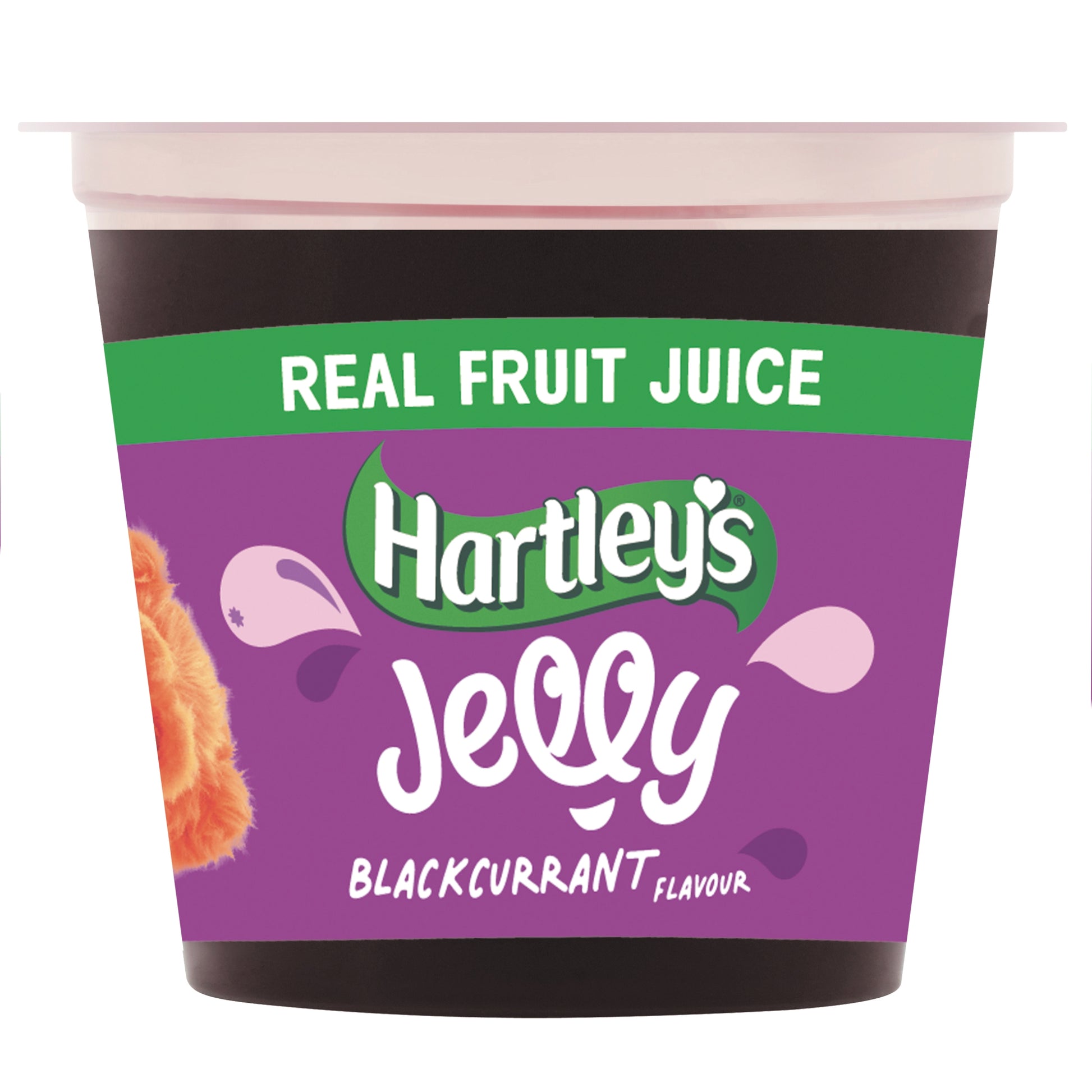 HARTLEY'S RTE JELLY BLACKCURRANT