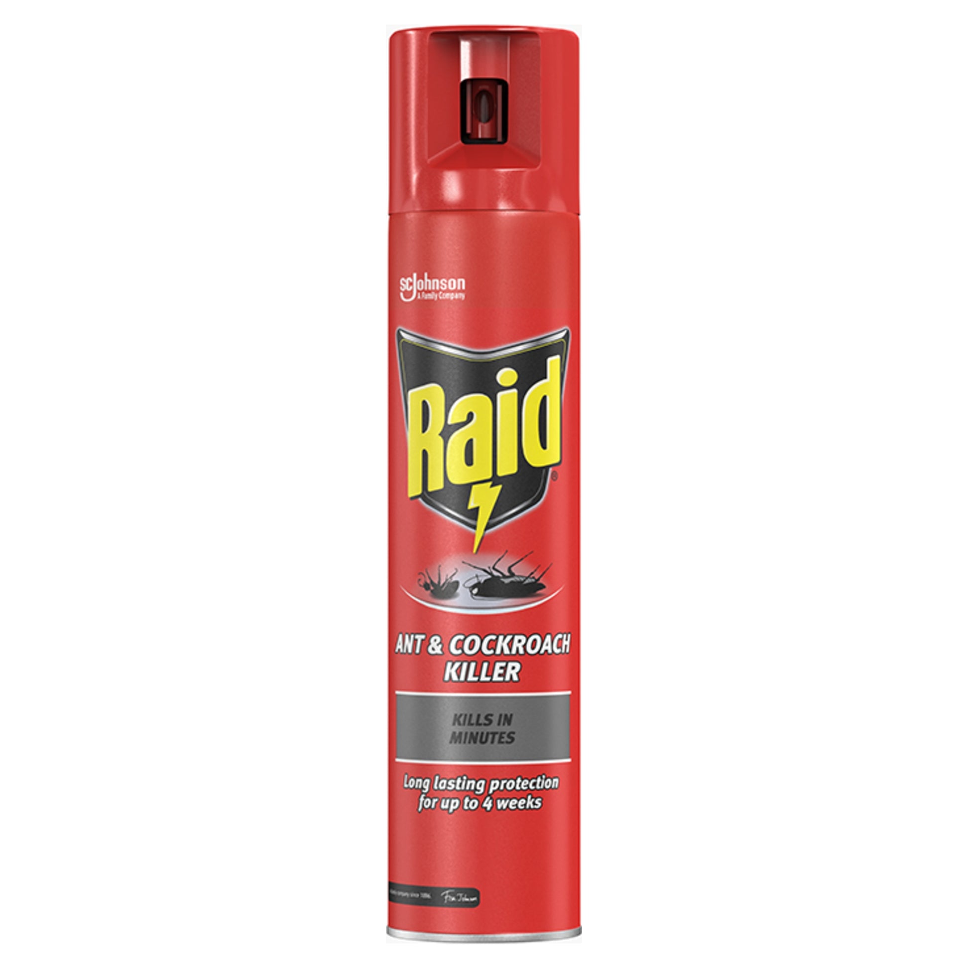RAID ANT & COCKROACH KILLER