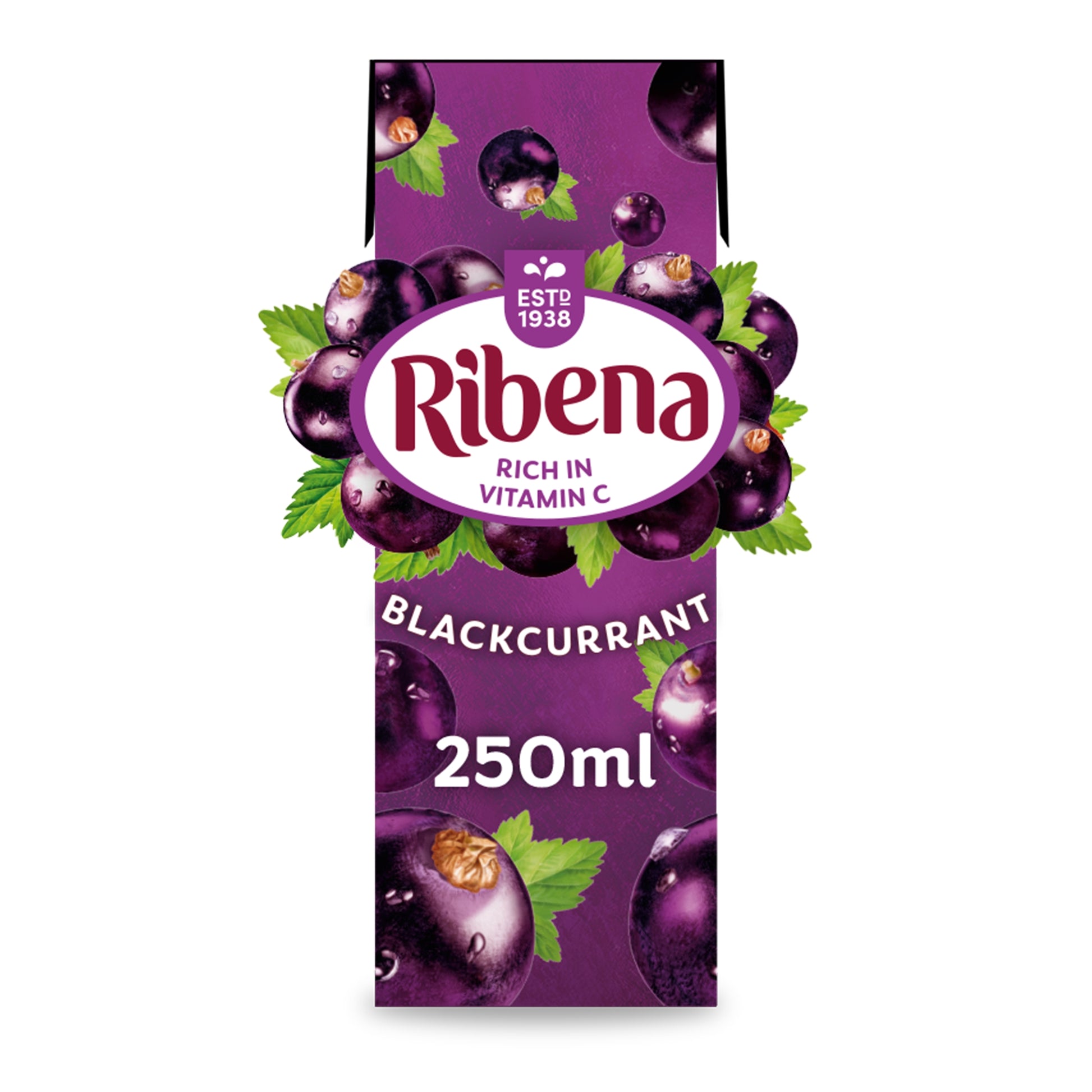 RIBENA READY TO DRINK BLACKCURRANT CARTON